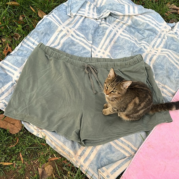 NWT Terra & Sky Green Knit Shorts Elastic Drawstring Waist Sweats 4X (28W-30W) - Picture 9 of 16